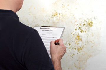 mold inspection